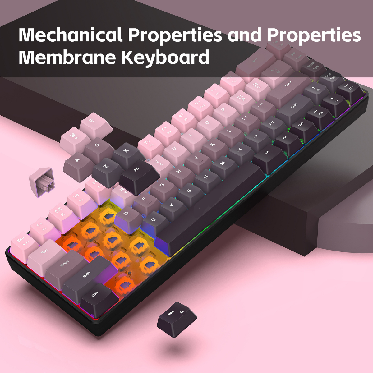 New Compact 68-Key Gradient-Co – Gaming Keyboard Ergonomic Bewertung und Preis